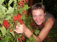 ���������� ������ (���������, ��������, ����������): ������� ������� ������� �� ���������: ������ ��������, �������� �������� � ������ (�������): ������������